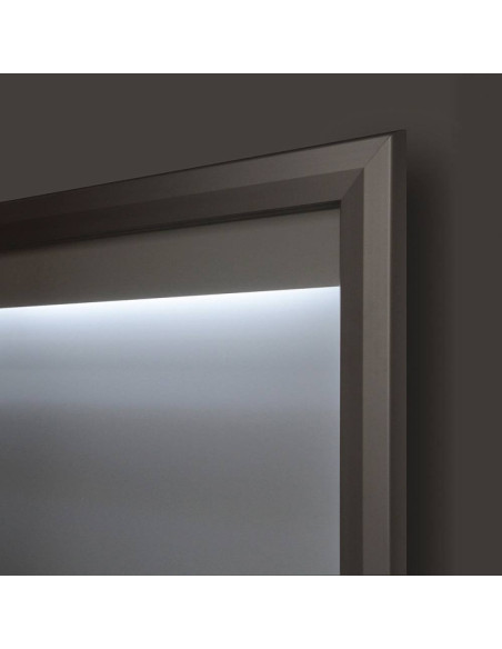 Vitrine extérieure lumineuse "standard" 5129L