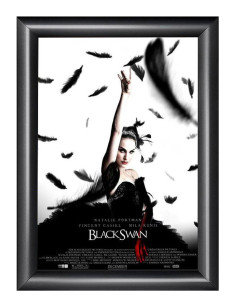 8022A Cadre à clapets affiche cinéma : Portes affiches cinéma | Afix