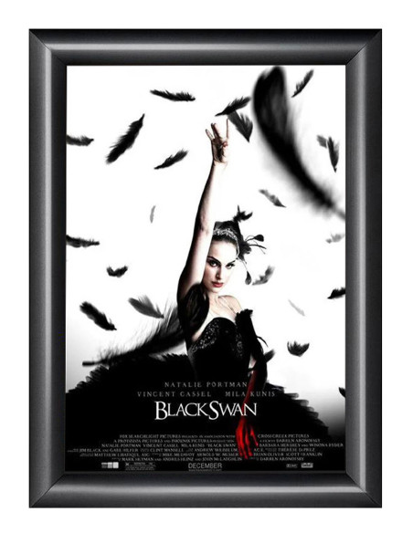 8022A Cadre à clapets affiche cinéma : Portes affiches cinéma | Afix